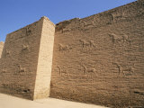 Holy Bull, Babylon, Iraq, Middle East
