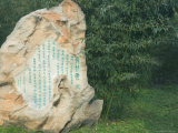 Rock with Chinese Writings and Bamboo Forest, Purple Bamboo Park, Beijing, China, Asia