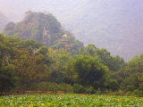 Buy Hill with Chinese Pavillons, Yangshuo Park, Yangshuo, Guangxi Province, China, Asia at AllPosters.com