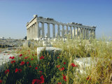 Buy The Parthenon, Unesco World Heritage Site, Athens, Greece, Europe at AllPosters.com