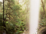 Little Falls, Alpine National Park, Victoria, Australia, Pacific