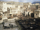 Buy Tannery, Fez, Morocco, North Africa, Africa at AllPosters.com