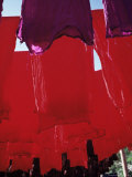 Buy Red Dyed Cloth Drying, Marrakech, Morocco, North Africa, Africa at AllPosters.com