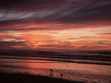Buy Eighty Mile Beach, Western Australia, Australia, Pacific at AllPosters.com