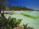 The West Coast of the Island of Boracay, off the Coast of Panay, Philippines, Asia