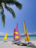 Buy Sail Boats on Chaweng Beach, East Coast, Koh Samui (Ko Samui), Thailand at AllPosters.com