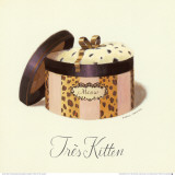 Tres Kitten