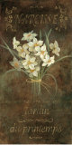 Narcisse