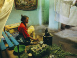 Coffee Ceremony, Abi-Adi, Ethiopia, Africa