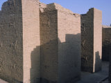 Animals in Relief on the South Palace, Archaeological Site of Babylon, Iraq, Middle East