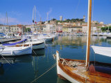 The Old Port, Cannes, Cote d'Azur, Provence, France