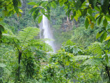 Waterfall, Guadeloupe, French Antilles, West Indies, Caribbean