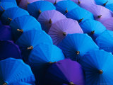Buy Umbrellas, Bo Sang, Thailand, Asia at AllPosters.com