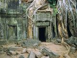 Buy Tree Roots Overgrowng Temple, Ta Prohm, Angkor, Cambodia, Asia at AllPosters.com