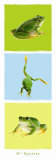 Buy Mlle Rainette at AllPosters.com