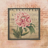 Buy Blooming Paris II at AllPosters.com