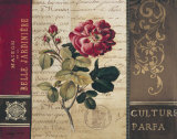 Buy Belle Jardin II at AllPosters.com