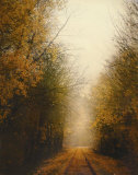Buy Road of Mysteries I at AllPosters.com