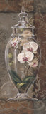 Buy Asian Apothecary II at AllPosters.com