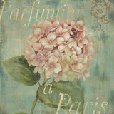 Vintage Fragrance IV