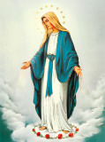 Buy Immaculate Conception at AllPosters.com