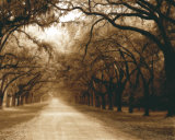 Buy Savannah Oaks I at AllPosters.com
