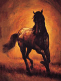 Stallion I