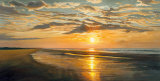 Seashore Tranquility