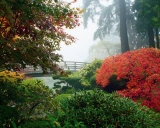 Japanese Garden II