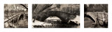 Buy Central Park Bridges at AllPosters.com