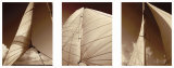 Buy Windward Sails Triptych at AllPosters.com