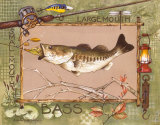 Large Mouth Bass