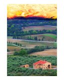Buy Morning on Tuscany at AllPosters.com