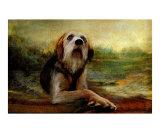 Jacobs Dog