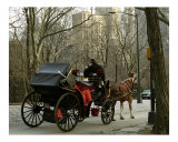 Carriage in the Park Photographic Print
