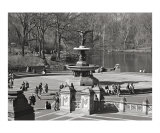 Bethesda Terrace - Central Park New York City