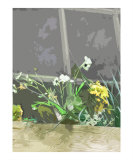 Buy A Summer Gift at AllPosters.com