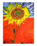 Buy Melting Sunflower at AllPosters.com