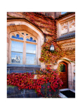 Autumn Ivy Princeton University New Jersey