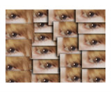 Buy A Wall of Eyes at AllPosters.com