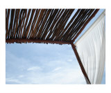 Cloth, Wood, and Sky