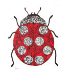 Ladybug