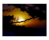 Golden Coastal Sunset