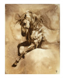Baroque Horse Series III: III
