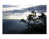 Morning Silhouette