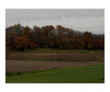 Buy Minnesota in the Fall at AllPosters.com