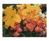 Buy A Joyful Bouquet at AllPosters.com