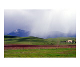 Farmland in Winter Number Two