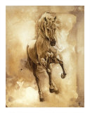 Baroque Horse Series III: III
