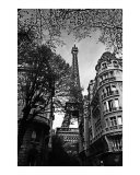 Looming Eiffel Tower